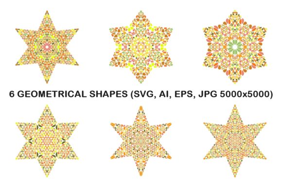 6 Floral Hexagram Stars: Strategic Design Assets for Brand Consistency and Visual Impact
