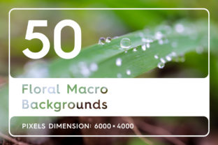 Elevating Visual Storytelling: The Strategic Value of 50 Floral Macro Backgrounds in Modern Design